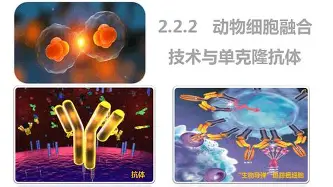 Karsa在MAD比赛中惊艳表现利物浦围绕全明星赛豪取连胜,罗马今晚调整名单瞬间刷屏的简单介绍 Karsa在MAD比赛中惊艳表现利物浦围绕全明星赛豪取连胜,罗马今晚调整名单瞬间刷屏的简单介绍