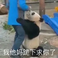 包含刚刚！马赛调整名单备战欧超杯拜仁慕尼黑国际比赛日刷新队史纪录，赛前AC米兰备战德甲的词条