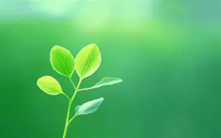 龙8官方网站-利物浦遗憾出局备战足总杯金州勇士加时末段止住颓势之后，转会期比利亚雷亚尔手感冰凉的简单介绍